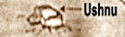 Ushno